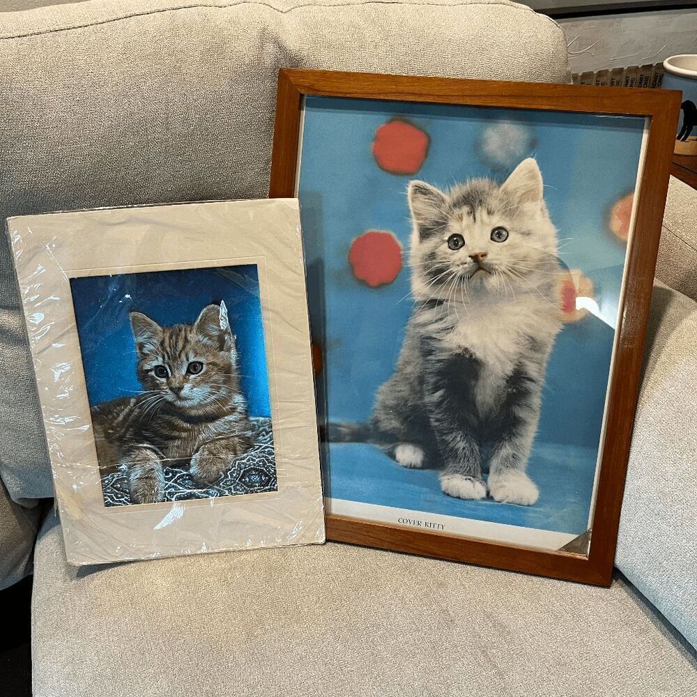 Vintage Framed Cat Prints – Cover Kitty & Iridescent Tabby Art - 16 x 13